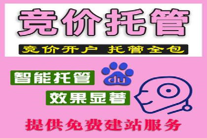 百度SEM推广在移动端的应用及效果展示